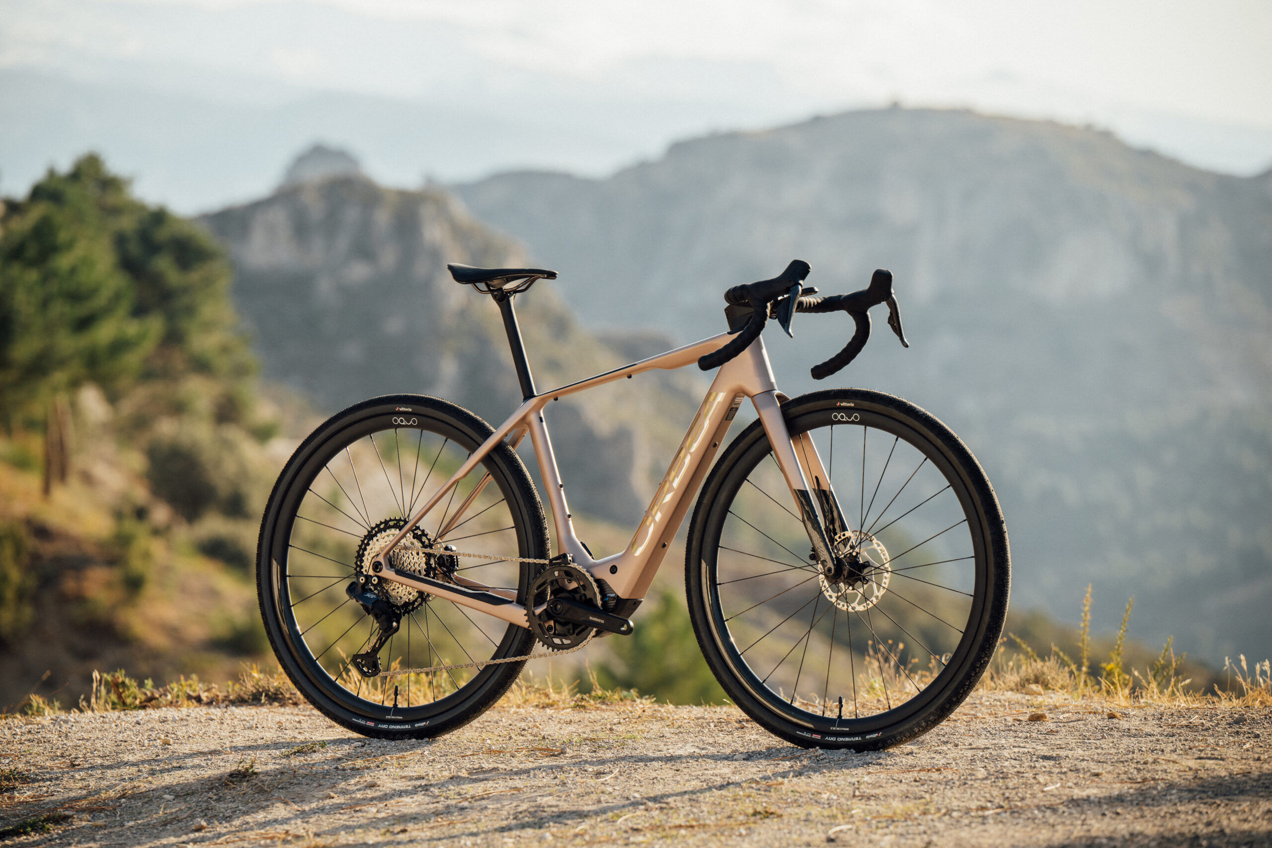 Pourquoi nous aimons le nouveau Orbea Denna